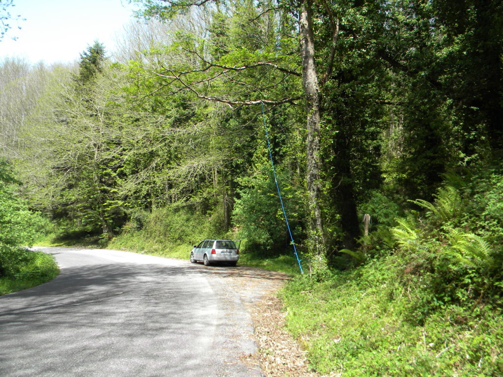 2015-05-06 14.38.24 .jpg